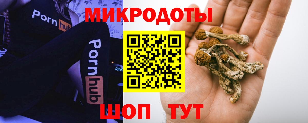 Аргун  Галлюциногенные грибы мухоморы  Вход с VPN 